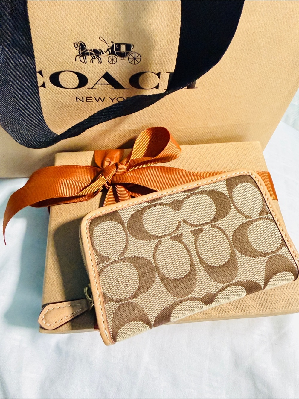 Coach Signature Jacquard Essential zip wallet